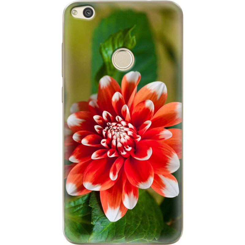 Чехол Uprint Huawei P8 Lite 2017 