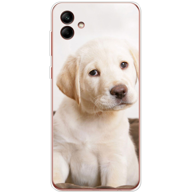 Чехол BoxFace Samsung Galaxy A04 (A045) Puppy Labrador