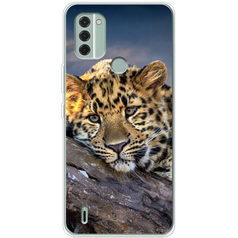 Чехол BoxFace Nokia C31 