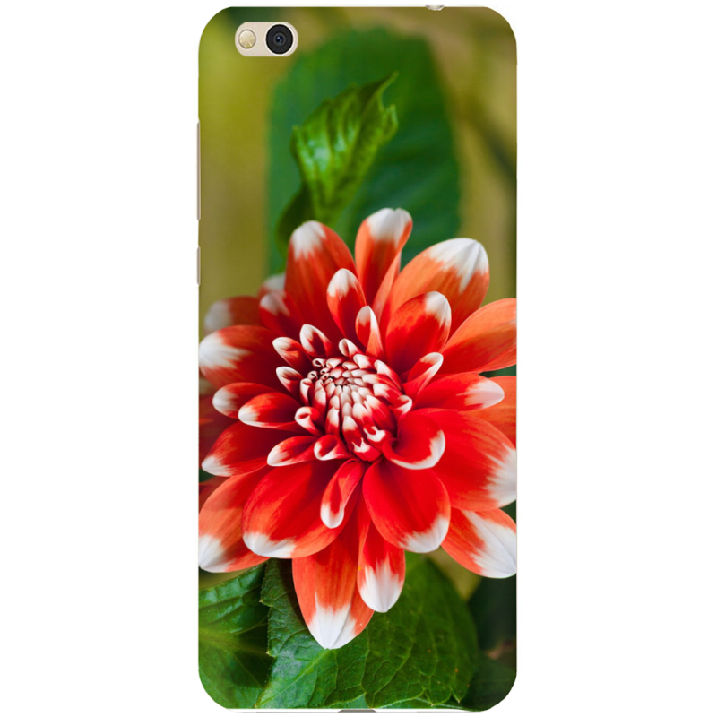 Чехол Uprint Xiaomi Mi5c 