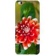 Чехол Uprint Xiaomi Mi5c 