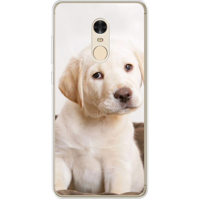 Чехол Uprint Xiaomi Redmi Note 4x Puppy Labrador