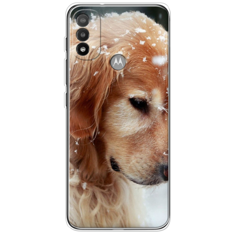 Чехол BoxFace Motorola E20 Golden Retriever