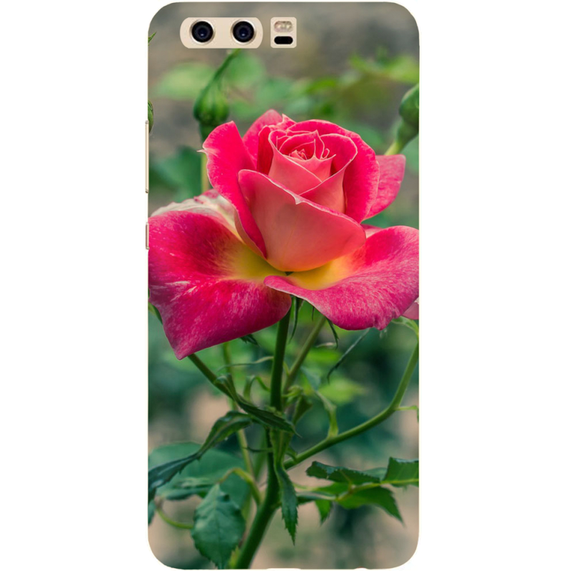 Чехол Uprint Huawei P10 