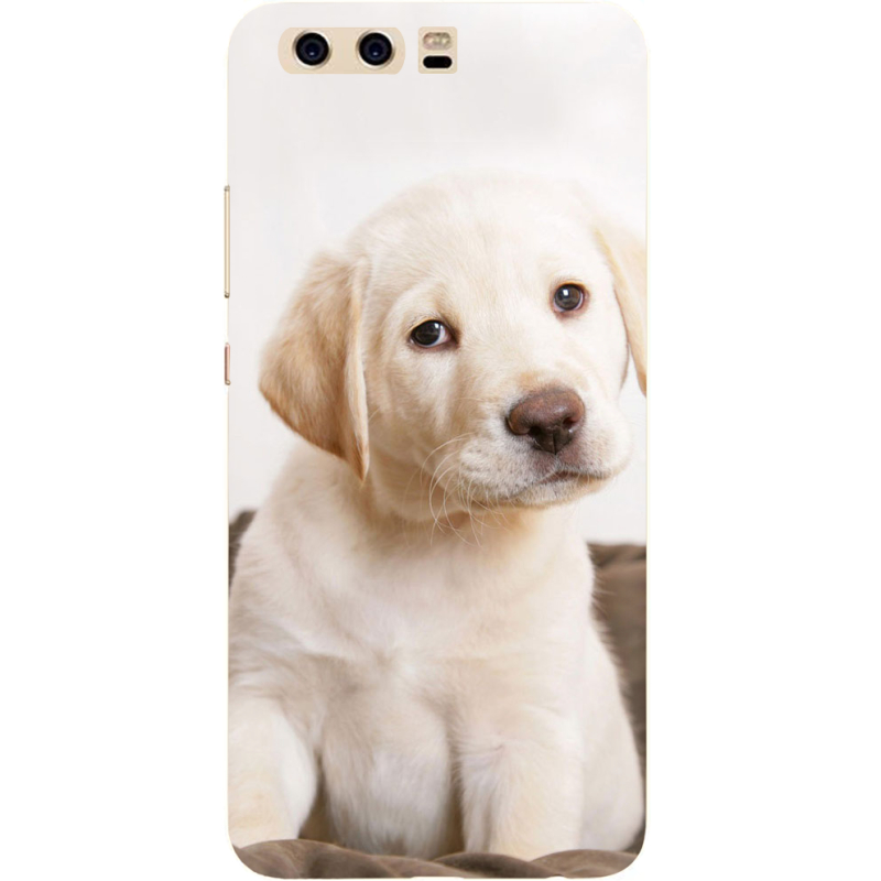 Чехол Uprint Huawei P10 Puppy Labrador