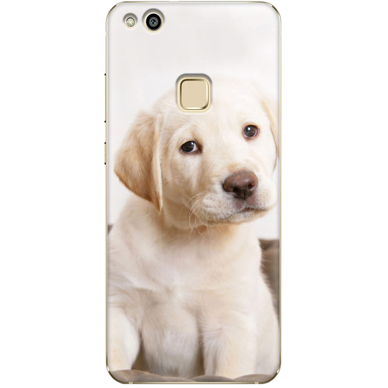 Чехол Uprint Huawei P10 Lite Puppy Labrador