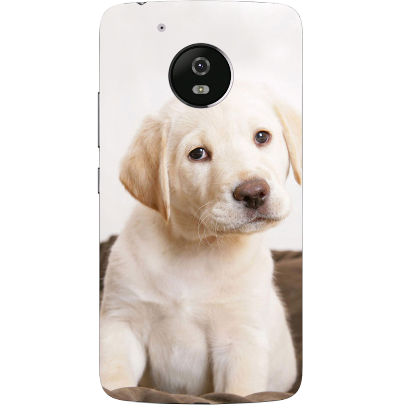 Чехол Uprint Motorola Moto G5 XT1676 Puppy Labrador