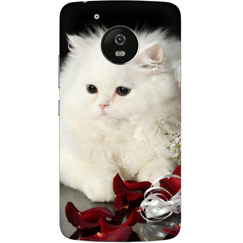 Чехол Uprint Motorola Moto G5 XT1676 Fluffy Cat