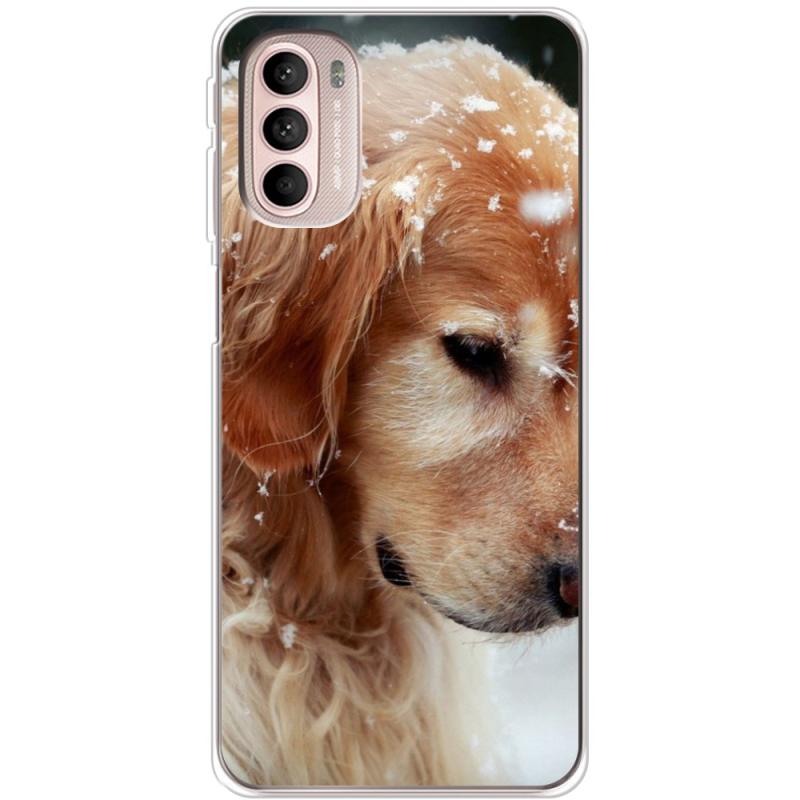 Чехол BoxFace Motorola G41 Golden Retriever