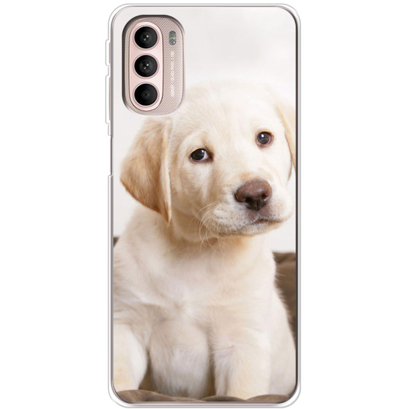 Чехол BoxFace Motorola G41 Puppy Labrador