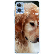 Чехол BoxFace Motorola E22/E22i Golden Retriever