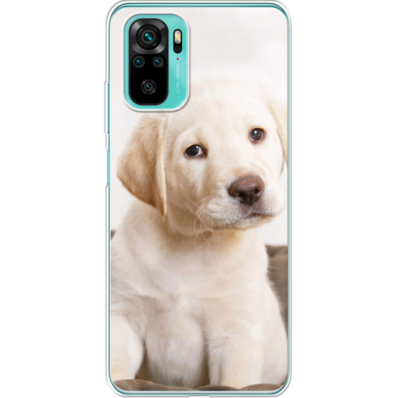 Чехол BoxFace Poco M5s Puppy Labrador