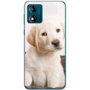 Чехол BoxFace Motorola E13 Puppy Labrador