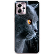 Чехол BoxFace Motorola G13 English cat