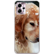 Чехол BoxFace Motorola G13 Golden Retriever