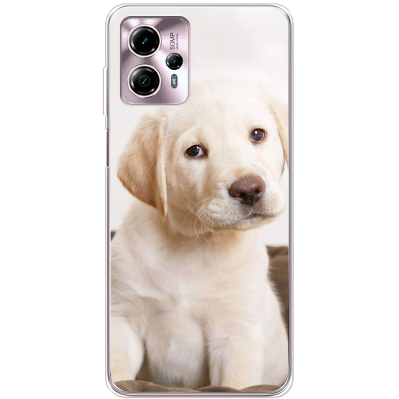 Чехол BoxFace Motorola G13 Puppy Labrador