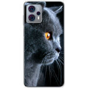 Чехол BoxFace Motorola G23 English cat