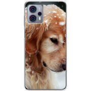 Чехол BoxFace Motorola G23 Golden Retriever