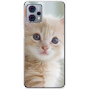 Чехол BoxFace Motorola G23 Animation Kittens