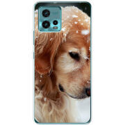 Чехол BoxFace Motorola G72 Golden Retriever