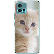 Чехол BoxFace Motorola G72 Animation Kittens