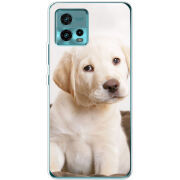 Чехол BoxFace Motorola G72 Puppy Labrador