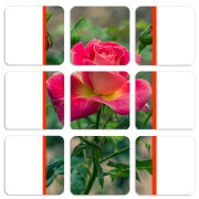 Магнитные фотопазлы 50 на 50 набор 9 штук 