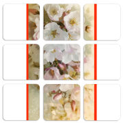 Магнитные фотопазлы 50 на 50 набор 9 штук 