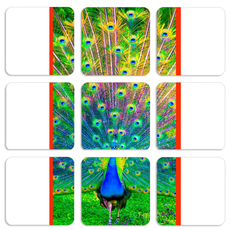 Магнитные фотопазлы 50 на 50 набор 9 штук 