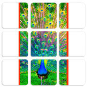 Магнитные фотопазлы 50 на 50 набор 9 штук 