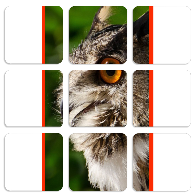 Магнитные фотопазлы 50 на 50 набор 9 штук 