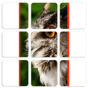 Магнитные фотопазлы 50 на 50 набор 9 штук 