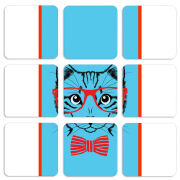 Магнитные фотопазлы 50 на 50 набор 9 штук 