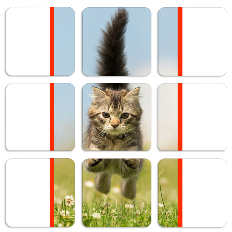 Магнитные фотопазлы 50 на 50 набор 9 штук 