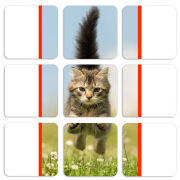 Магнитные фотопазлы 50 на 50 набор 9 штук 