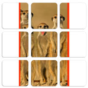 Магнитные фотопазлы 50 на 50 набор 9 штук 