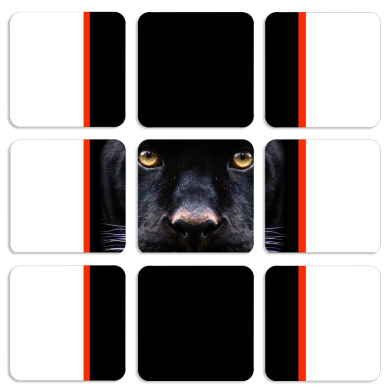 Магнитные фотопазлы 50 на 50 набор 9 штук 