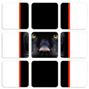 Магнитные фотопазлы 50 на 50 набор 9 штук 