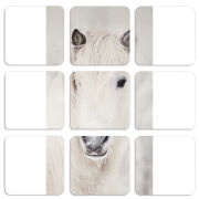 Магнитные фотопазлы 50 на 50 набор 9 штук 