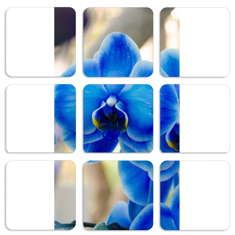 Магнитные фотопазлы 50 на 50 набор 9 штук 