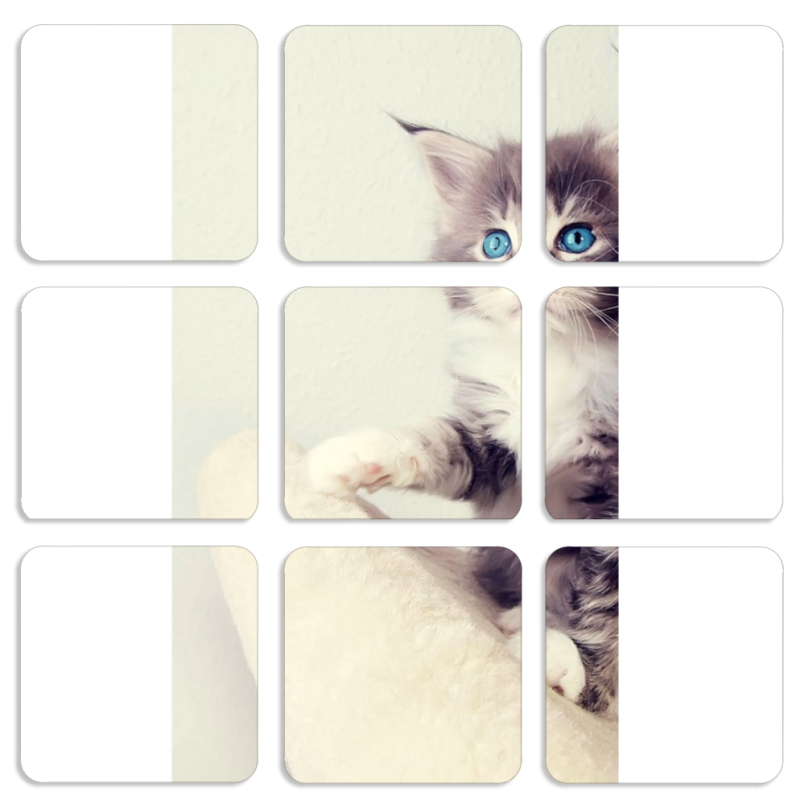 Магнитные фотопазлы 50 на 50 набор 9 штук 