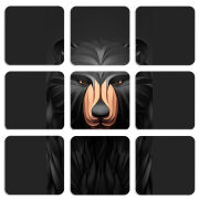 Магнитные фотопазлы 50 на 50 набор 9 штук 