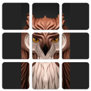 Магнитные фотопазлы 50 на 50 набор 9 штук 