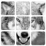 Магнитные фотопазлы 50 на 50 набор 9 штук 