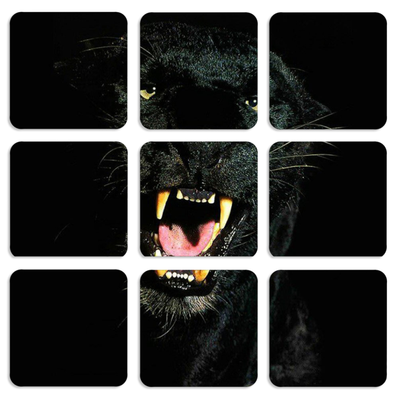 Магнитные фотопазлы 50 на 50 набор 9 штук 