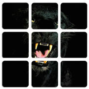 Магнитные фотопазлы 50 на 50 набор 9 штук 