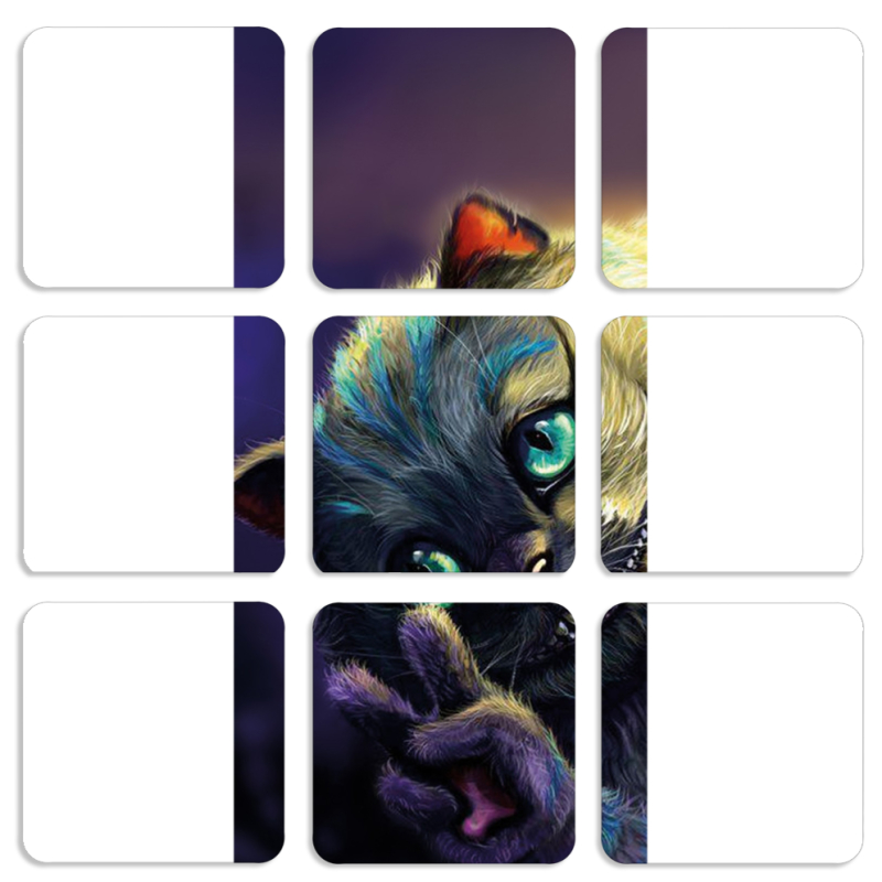 Магнитные фотопазлы 50 на 50 набор 9 штук Cheshire Cat