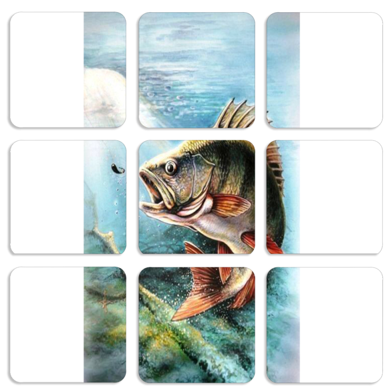 Магнитные фотопазлы 50 на 50 набор 9 штук Полосатый Бандит