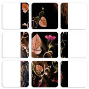 Магнитные фотопазлы 50 на 50 набор 9 штук 