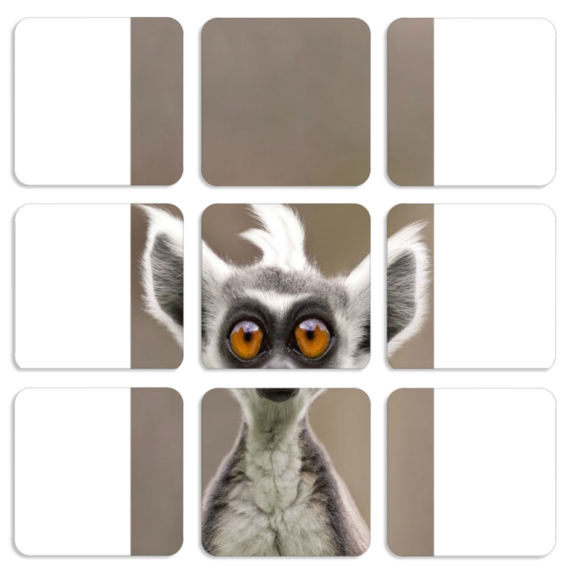 Магнитные фотопазлы 50 на 50 набор 9 штук 